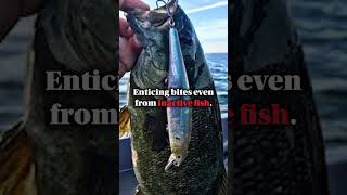 Pointer 128SP  The Winning Lure You Need for More Catches【04 05 06 07 09 10 11】 [upl. by Breeze]