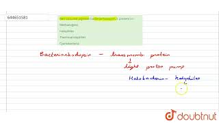 Red coloured pigment bacteriorhodopsin is present in   12  BIOLOGICAL CLASSIFICATION  BIOLO [upl. by Nonez600]