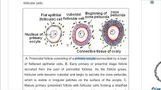 Ovarian cycle and Ovulation [upl. by Seuqramed]