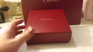 Cartier Love necklace  Small review [upl. by Ennaul]