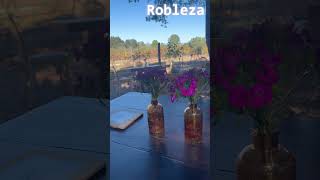 Vive Valle Restaurante Robleza en Viña de Liceaga y Decantos valledeguadalupe ensenada reels [upl. by Drofkcor750]