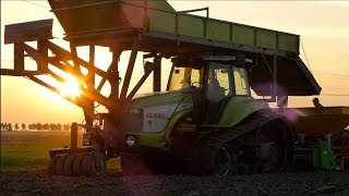 Claas Challenger 55 Planting Tulip bulbs  Dogterom tulpen planten 2013 [upl. by Revart522]