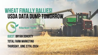 Wheat Finally Rallies USDA Data Dump Tomorrow [upl. by Bailey]