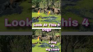 Dog Vs Big Lizard Part 3 । Dog barking sound dog lizard shorts trending ytshortsindia viral [upl. by Suivatnod]