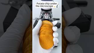 Potato chips look super cool at 400Xmagnification shorts youtubeshorts youtube [upl. by Everick]