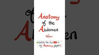 Anatomy of the Abdomen  Posterior Abdominal Wall mbbs biology anatomy physiology science [upl. by Sucramel]