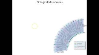 Lecture 8B  Lipid Bilayers amp Membranes [upl. by Adriel]