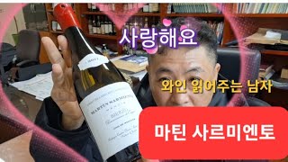 와인 읽어주는 남자스페인 멘시아 포도 아세요마틴 사르미엔토대한민국 해물찜과 잘 어울려요영남이공대학교 호텔ㆍ항공서비스전공 김동준 교수 [upl. by Yeslrahc]