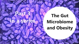 The Gut Microbiome and Obesity Part 3 [upl. by Cedar]