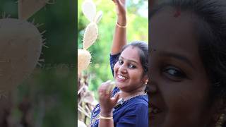 കൃത്രിമ കള്ളിമുൾ ചെടി  Cactus Plant Making  Eliza Creations shorts [upl. by Galanti]