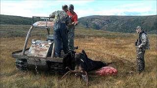 Moose Hunting Newfoundland Canada 2011 [upl. by Pavior607]