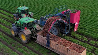 Wortels rooien  Carrot harvest  Möhren roden  John Deere  ASALIFT  New Holland  DeutzFahr [upl. by Amalee]