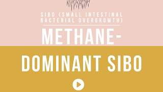 SIBO Part 4 Methane Dominant SIBO [upl. by Huber]