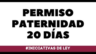 PERMISO PATERNIDAD 20 DIAS [upl. by Sheryl]