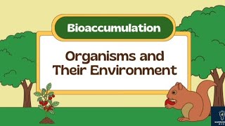 BioaccumlationOrganism and Their EnvironmentBiologyEducational short videoScience Learning video [upl. by Agnew]