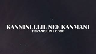 Kanninullil Nee Kanmani  Lofi Version  Trivandrum Lodge [upl. by Aieki]