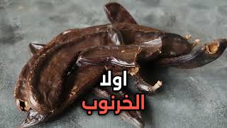 فوائد الخروب للقولون العصبي Carob Benefits الخروب وفوائده واضراره [upl. by Aliban]