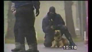 Tactical K9 Police dogs in action [upl. by Umberto]