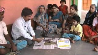 Seed treatment with trichoderma Kannada BAIF Karnataka [upl. by Assirual]