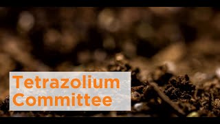 Tetrazolium Committee [upl. by Magree]