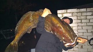 WEIGHING THE GIANT JEWFISH  YouFishTV [upl. by Veneaux260]