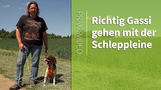 Gassi gehen ➡️ Richtig Gassi gehen mit der Schleppleine ➡️ Praxisvideo ✔️ [upl. by Ognimod]