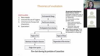 Theories of Evolution Lamacrkism Darwinismclass 11 [upl. by Gwenn198]