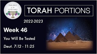 Torah Portions  Week 46  You Will Be Tested  Deuteronomy 712  1125 2223 [upl. by Pierre]