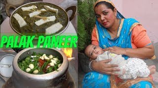 Palak Paneer Recipe  How to make Palak Paneer  Punjabi [upl. by Ibocaj]