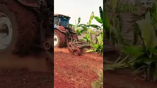 quot🚜 Banana Plant Cutting Made Easy with a Tractor 🌱✨ FarmingTools BananaHarvestquot [upl. by Xed799]