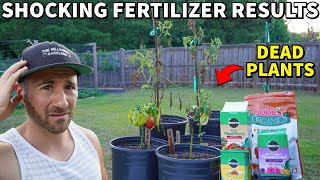 This STUPID Fertilizer Experiment Killed EVERY ONE Of My Plants [upl. by Charlie]