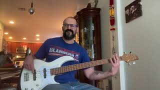 System of a Down  Prison Song  Bass Cover [upl. by Ayres925]