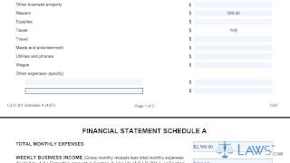 Form CJD301A Financial Statement Schedule A [upl. by Uba46]