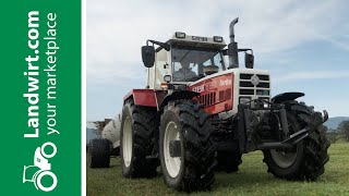 Gebrauchter Steyr 8130 auf Landwirtcom  landwirtcom [upl. by Aleuname]