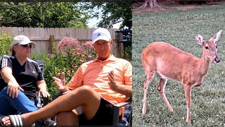 The Disappearance of Blitzen the 3Legged Deer [upl. by Larimer]