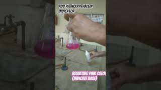 Base test using phenolphthalein indictor  shorts viralshorts chemistryshorts [upl. by Juni]