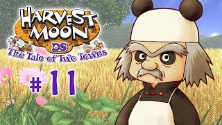 🍳 Harvest Moon Geschichten zweier Städte  Lets Play 11 【 Deutsch 】  Der Hammer [upl. by Weinstock846]