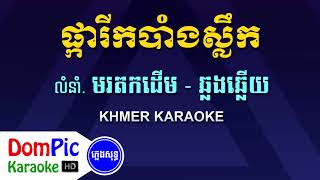 ផ្ការីកបាំងស្លឹក ឆ្លងឆ្លើយ ភ្លេងសុទ្ធ  Pka Rik Bang Slek Pleng Sot  DomPic Karaoke [upl. by Mercer33]