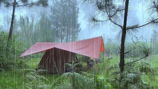 SOLO CAMPING HEAVY RAIN  RELAXING CAMPING WITH RAIN SOUNDS  ASMR [upl. by Anhej417]