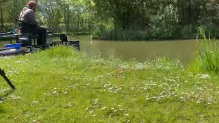 Maver Qualifier  partridge lakes  covey 4  peg 83 [upl. by Agan296]