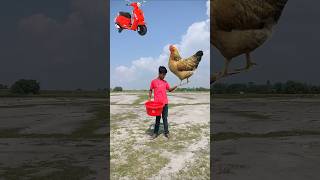 Flying crying babies scooter forg lizard amp parrot catching vs hen 😄 shortsfeed shorts [upl. by Zarihs]