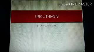 Urolithiasis MSN [upl. by Waligore]