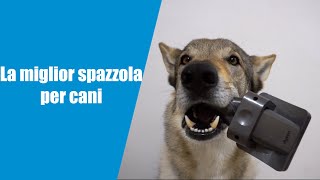 MIGLIORE SPAZZOLA PER CANI SI CHIAMA Dyson Groom [upl. by Irrok]