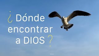 ¿Dónde encontrar a DIOS  Reflexión [upl. by Aneekat451]