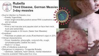 Measles and vaccines Exanthems and enanthems [upl. by Lemaceon]