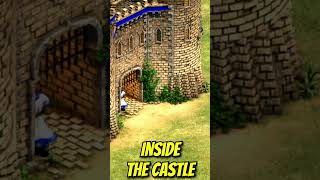 Inside the Castle AoE2 Shorts [upl. by Secnarfyram273]