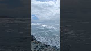 South Jetty Pelicans Autumn 🍁 2024 PNW Travel [upl. by Arret914]