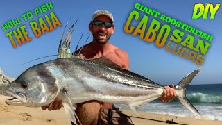 GIANT Roosterfish DIY Surf Fishing Cabo INSANE baitballs [upl. by Yard]