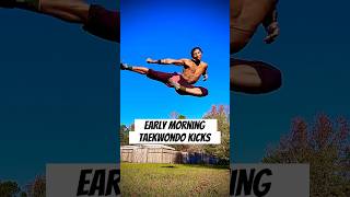 Taekwondo Kicks EARLY In The Morning taekwondo martialarts shorts [upl. by Yelrebmyk]