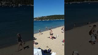 Local beach at Mosman Sydney [upl. by Steffi]